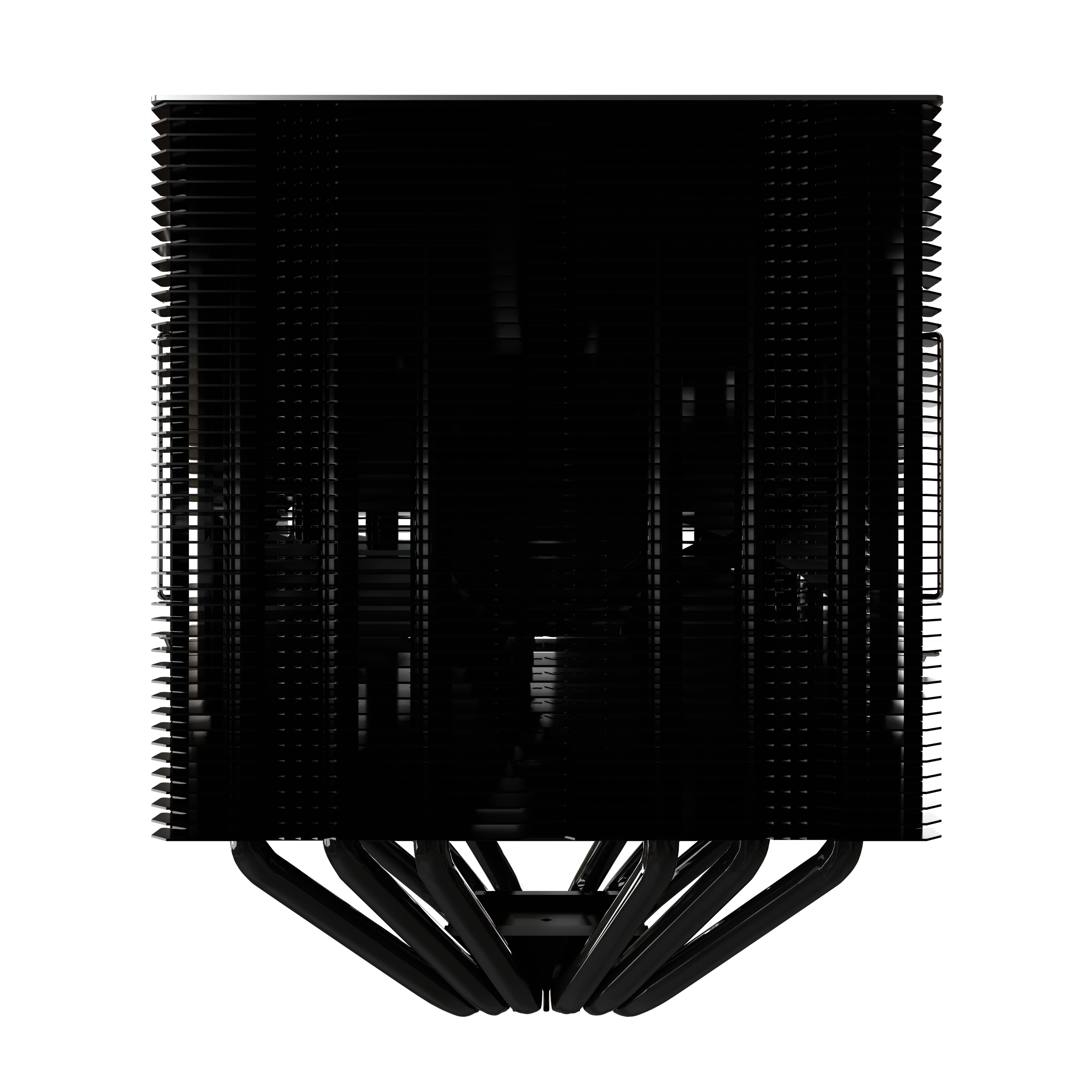 Negro