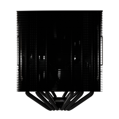 Negro