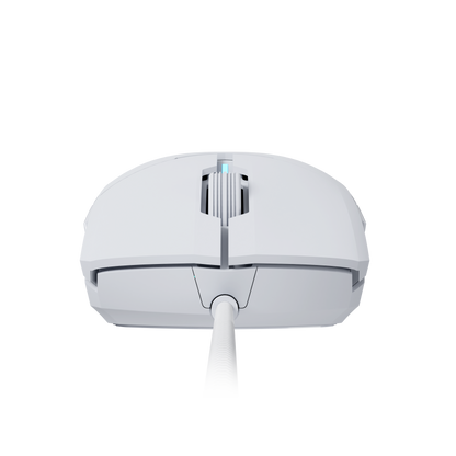 Blanco