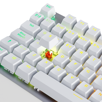 Blanco