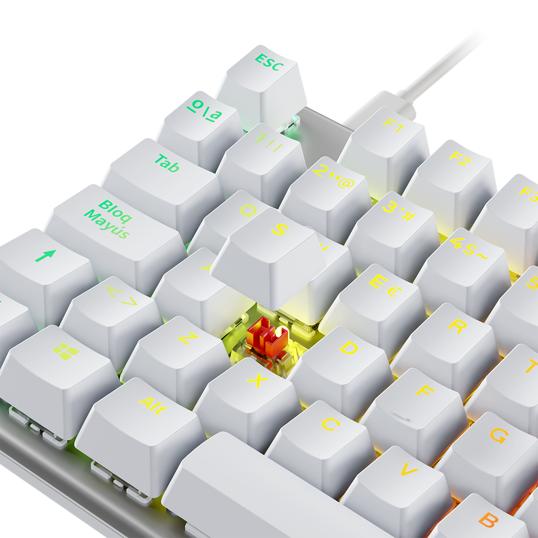Blanco