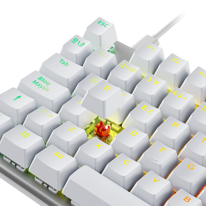 Blanco