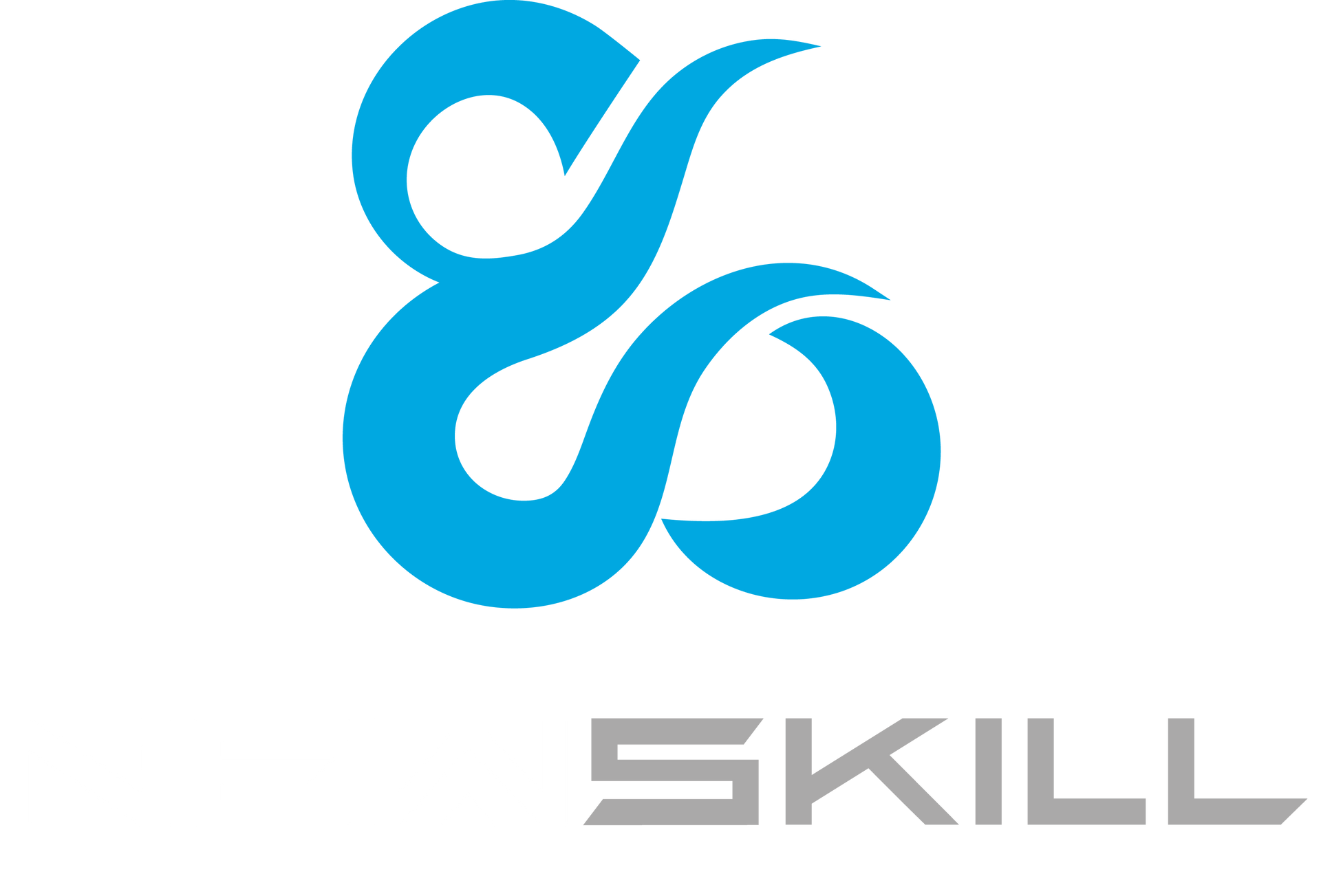 Logo de Newskill